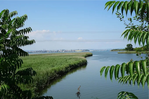 Черно море